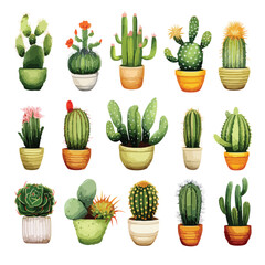 Cactus clipart succulent clipart isolated on white background