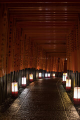 Red torii gate of the shrine at night