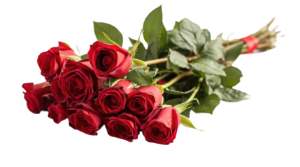Bright red roses lie on white isolated background