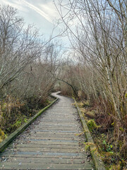 Lake to Lake Trail