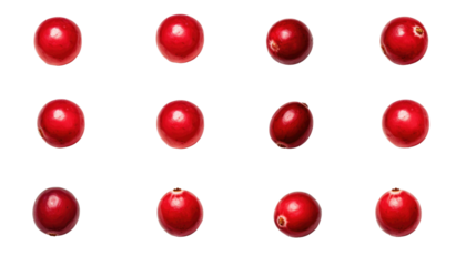eight cranberries in different angles on white isolated background