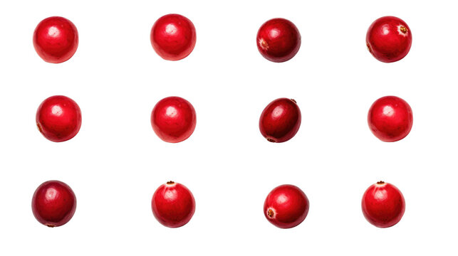 eight cranberries in different angles on white isolated background