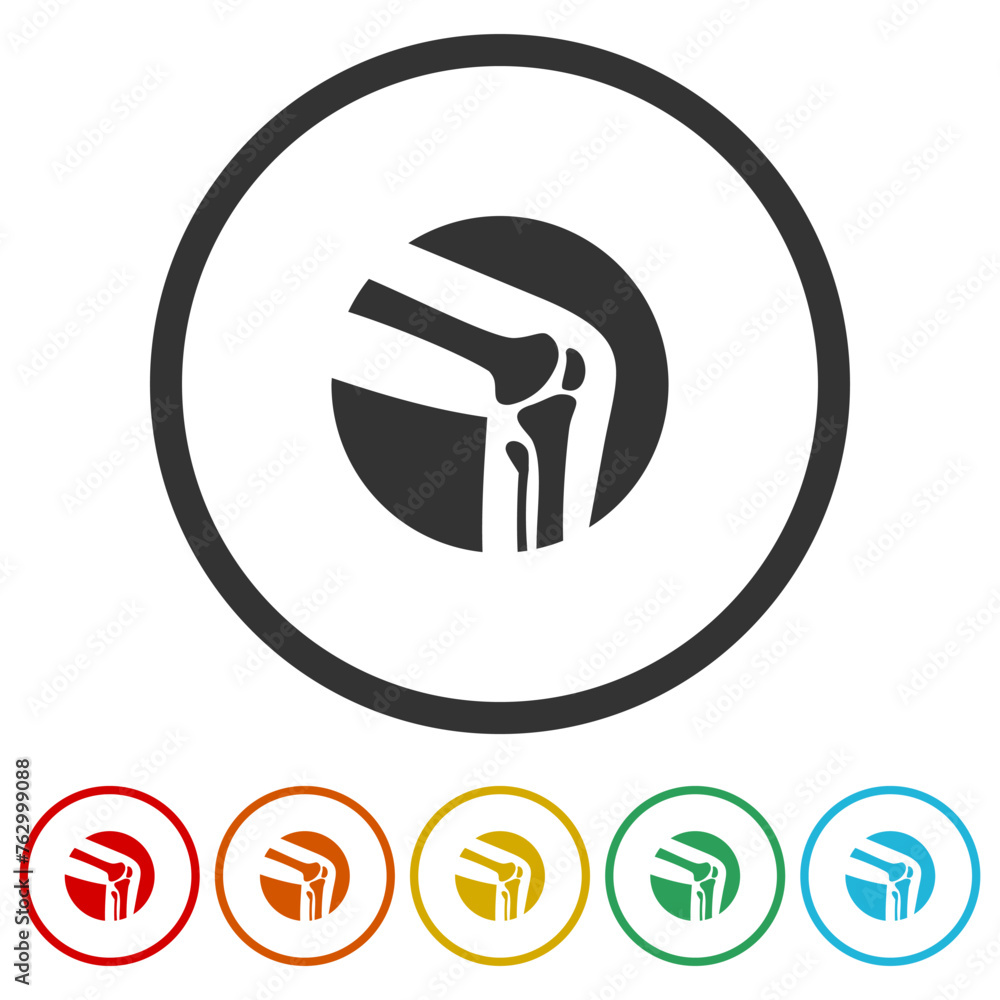 Poster knee joint icon. set icons in color circle buttons
