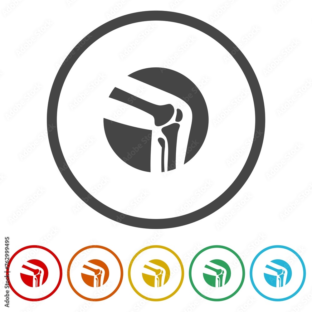 Poster knee joint icon. set icons in color circle buttons