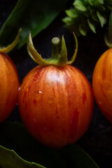 Cherry tomato close up