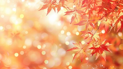 Autumn season with red and yellow maple leaves with soft focus light and bokeh background