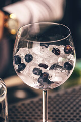 Elegant gin and tonic cocktail with blueberries - 763002806