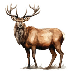 Elk Moose clipart