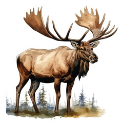 Elk Moose clipart