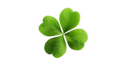 four leaf clover isolated on transparent background