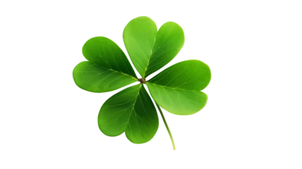 Foto op Canvas four leaf clover isolated on transparent background © PNG Lover