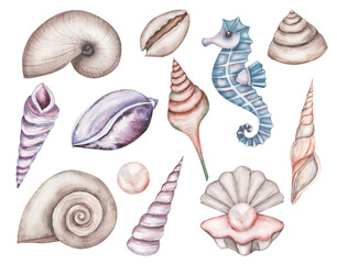 Set with watercolor illustrations of vintage seashells isolated on white background. Marine collection of hand drawn sea shells. Can be used in stickers, textiles, scrapbooking and wrapping paper.