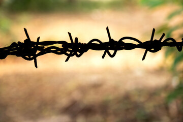Barbed wire close up with sunshine. Shallow DOF.