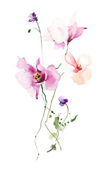 Watercolor floral bouquet on white background. Violet daisy, pink poppy, orange flowers, wild herbs, twigs with leaves.