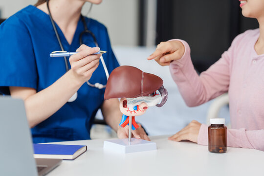 Caucasian liver professional female doctor explain to asian female patient using human liver model at desk in medical room, Liver cancer and Tumor, Jaundice, Viral Hepatitis A, B, C, D, E, cirrhosis
