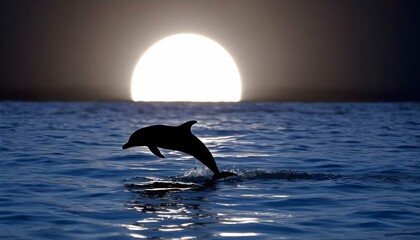 A Dolphin Swimming In The Moonlight Upscaled 2