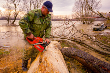 Woodcutter, logger, is cutting firewood, logs of wood, with motor chainsaw near the river