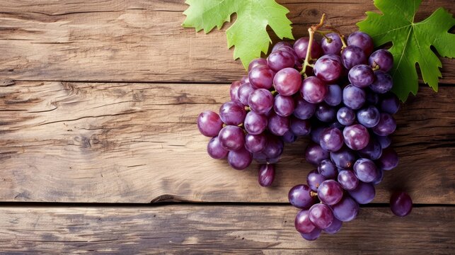 Blur vineyard and grape background. stock photo