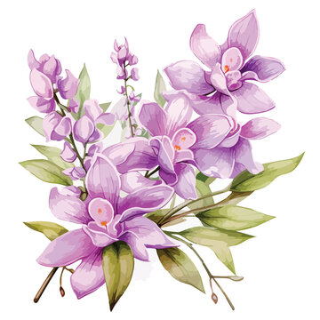 Lilac Dendrobium clipart clipart isolated on white background
