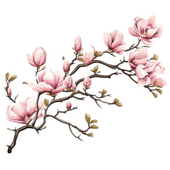 Magnolia Branches Clipart clipart isolated on white background