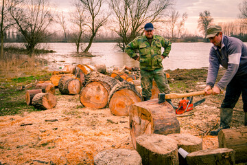 Woodcutter using axe to split large trunk of hardwood, chop firewood at river bank