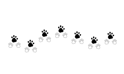 Animal paw footprint of dog and cat are isolated on a transparent background png.