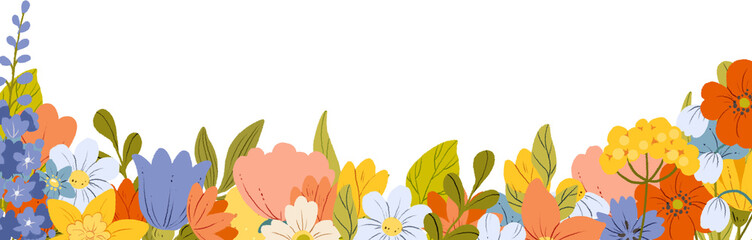 Wildflower. Botanical illustration with colorful flowers. Transparent background.