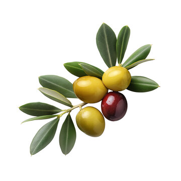 Olives with olive leaves isolated, healthy and organic food, AI generated, PNG transparent