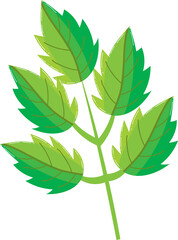 Autumn falling leaves