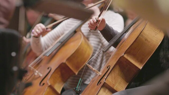 A slow motion video of divisi cello playing pizzicato and with bow during a classical symphony orchestra rehearsal