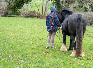 Fototapeta premium Rider and horse in meadow