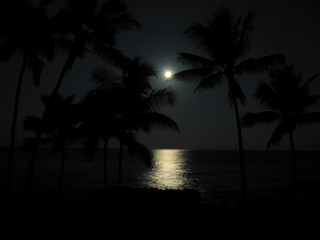 Fototapeta na wymiar 満月と海に映る光　ハワイ島にて