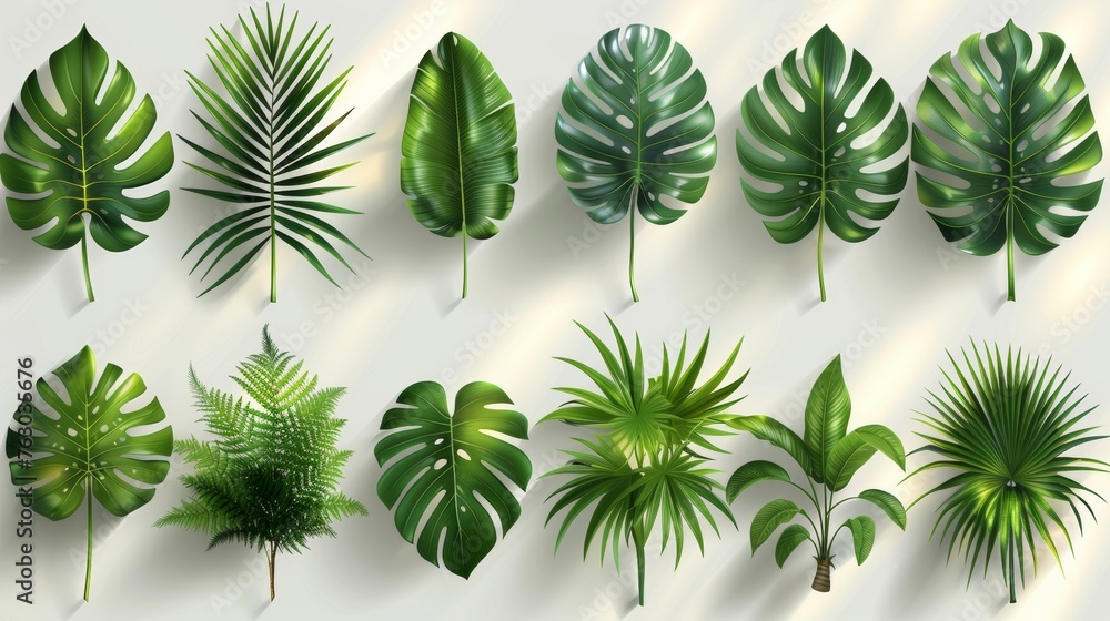 Poster shadow layer overlays set. realistic shadow mock ups. transparent shadow of tropical leaves. modern 