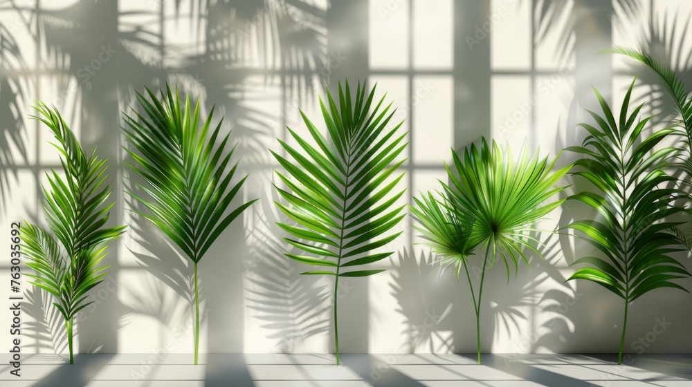 Poster The modern has shadow overlays on a transparent background. There are shadow overlays on a transparent background of leaves and palm leaves.