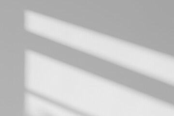 JPG Abstract Realistic Shadow Overlay on the Wall	