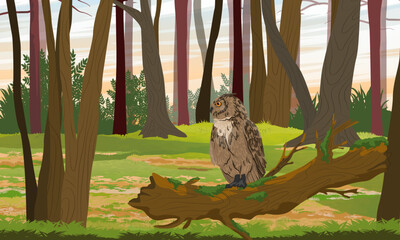 An eagle owl sits on a tree trunk in the forest. Realistic vector landscape