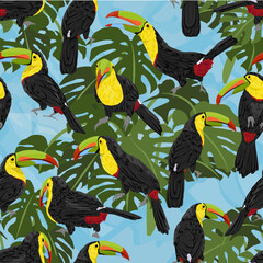 Seamless pattern with Keel-billed toucan and tropical leaves. Realistic vector jungle birds
