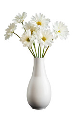 daisies in vase, png isolated