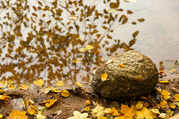 A lonely stone on the river bank with yellow autumn fallen leaves and reflection from trees.