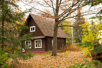Fototapeta na wymiar Wooden one-storey house in the forest in the autumn season.