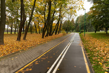 Obraz premium Walking and cycling path in the autumn park.