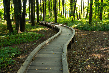 Ecological trail in the European city park.