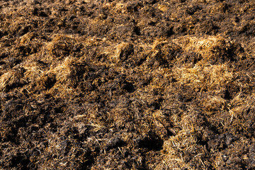 Texture, background Animal dung for use in agriculture.