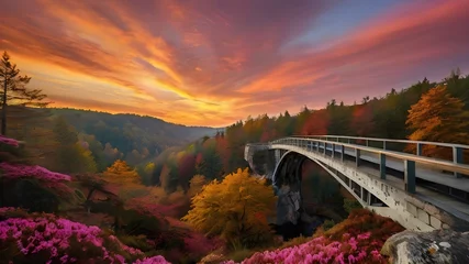 Photo sur Aluminium Orange Fantastic Autumn Landscape Amazing sunset With colorfu