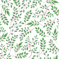 Green leaves pattern on a white background. botanical hand drawn illustration.
