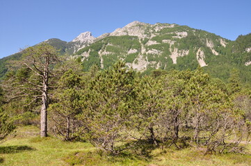 Die Isar bei Mittenwald