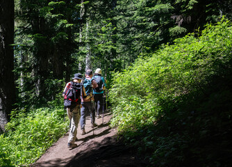 Three people hiking Summit Lake Trail at Mount Rainier National Park in summer. Washington State.
