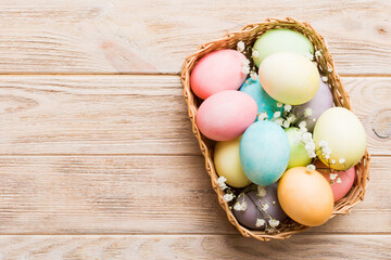Happy Easter composition. Easter eggs in basket on colored table with gypsophila. Natural dyed...