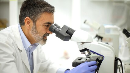 Naklejka na ściany i meble Focused scientist examining specimens with a microscope in a lab