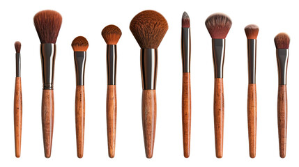 A set of professional makeup brushes is isolated on a transparent white background.